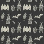 It's Bats Bear Romper by LennyLamb - Cream and Black LennyLamb