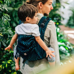 Zebra Savanna Toddler Onbuhimo PRO by Lennylamb LennyLamb