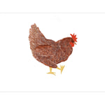 Chickens Exclusive by LennyLamb x Little Zen One LennyLight LennyLamb