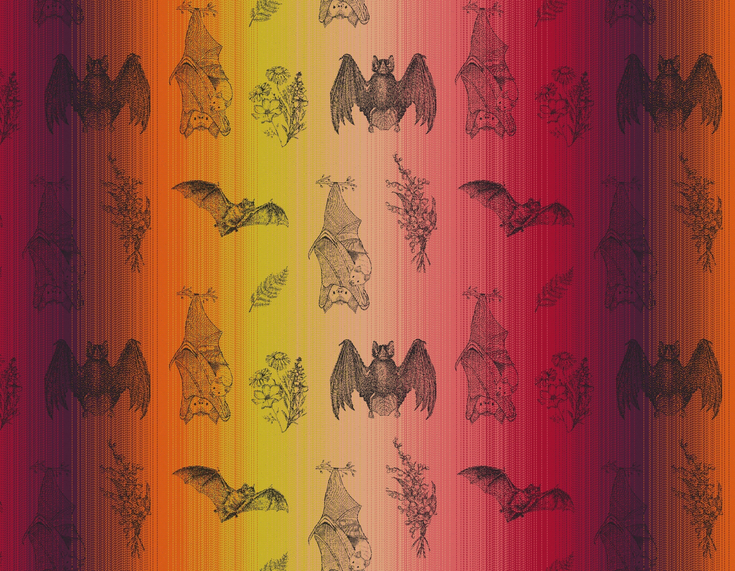 It's Bats Sunset - Little Zen One