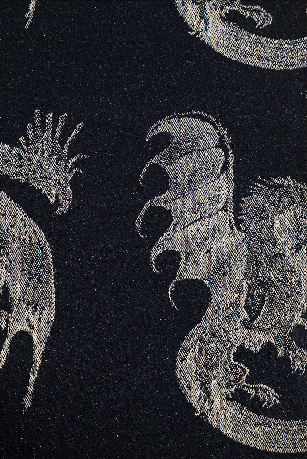 Dragons Pamina