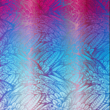 Wild Soul Blaze Toddler Onbuhimo PRO by LennyLamb