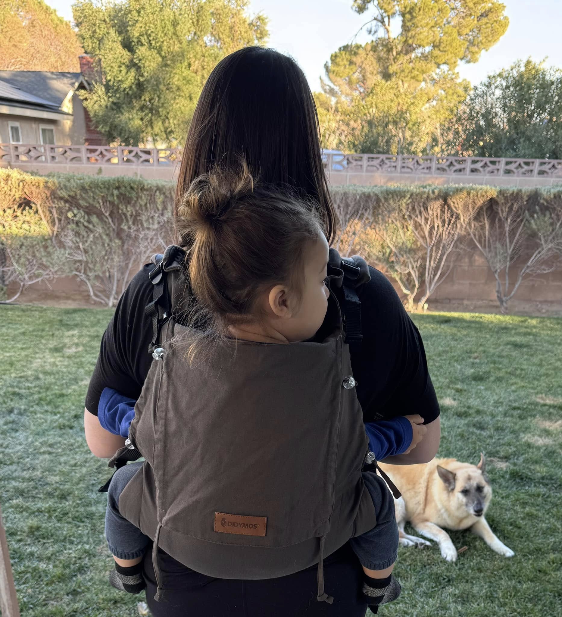 Mocca DidyFix by Didymos Didymos at Little Zen One