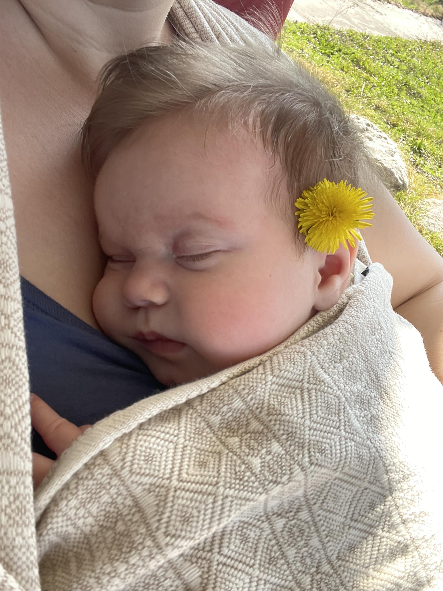 Prima Natural Woven Wrap by Didymos Didymos at Little Zen One