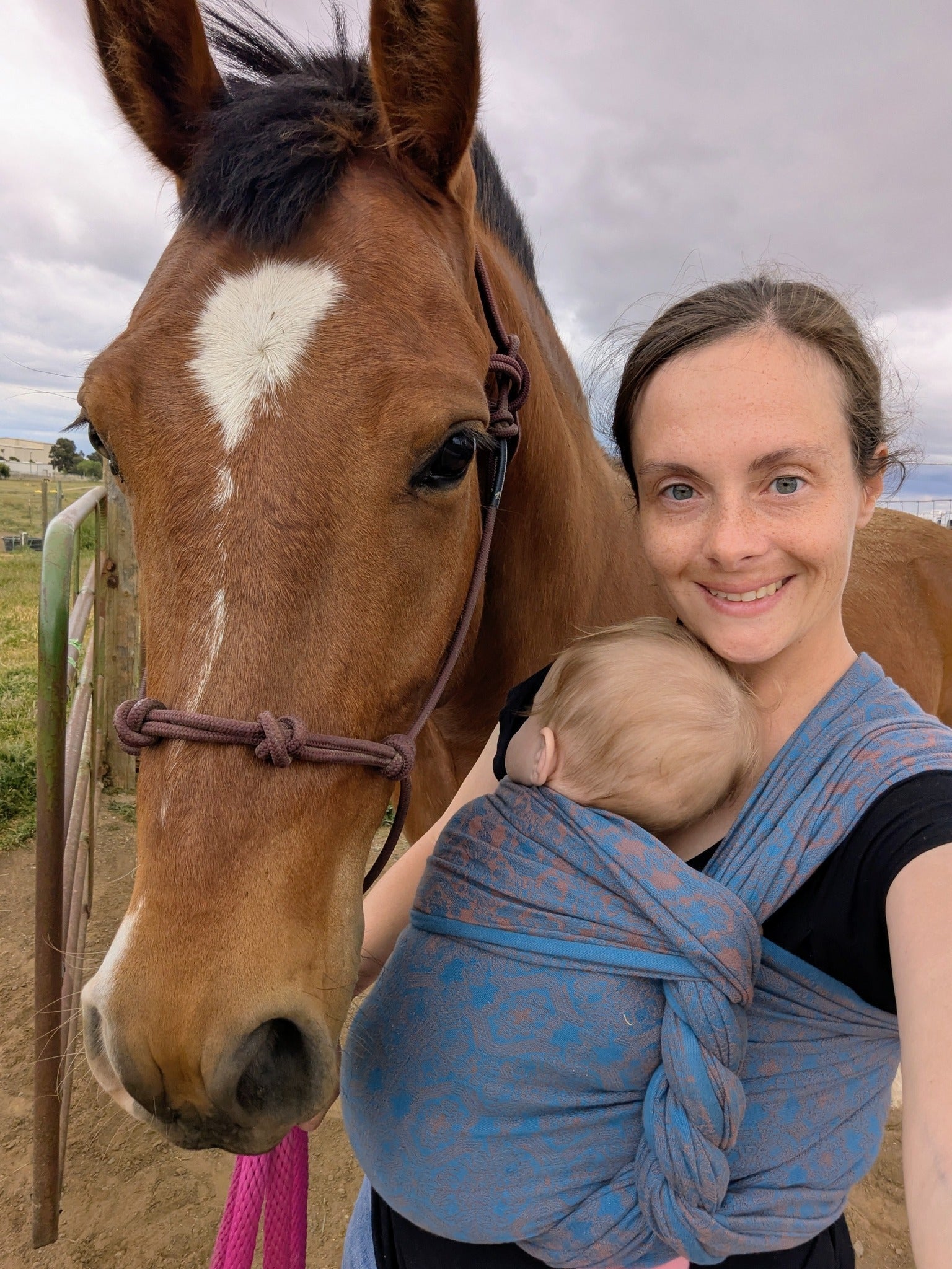 Ludwig Woven Wrap by Didymos Didymos at Little Zen One