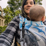 Jurassic Park Fossil LennyLight Baby Carrier by LennyLamb LennyLamb at Little Zen One