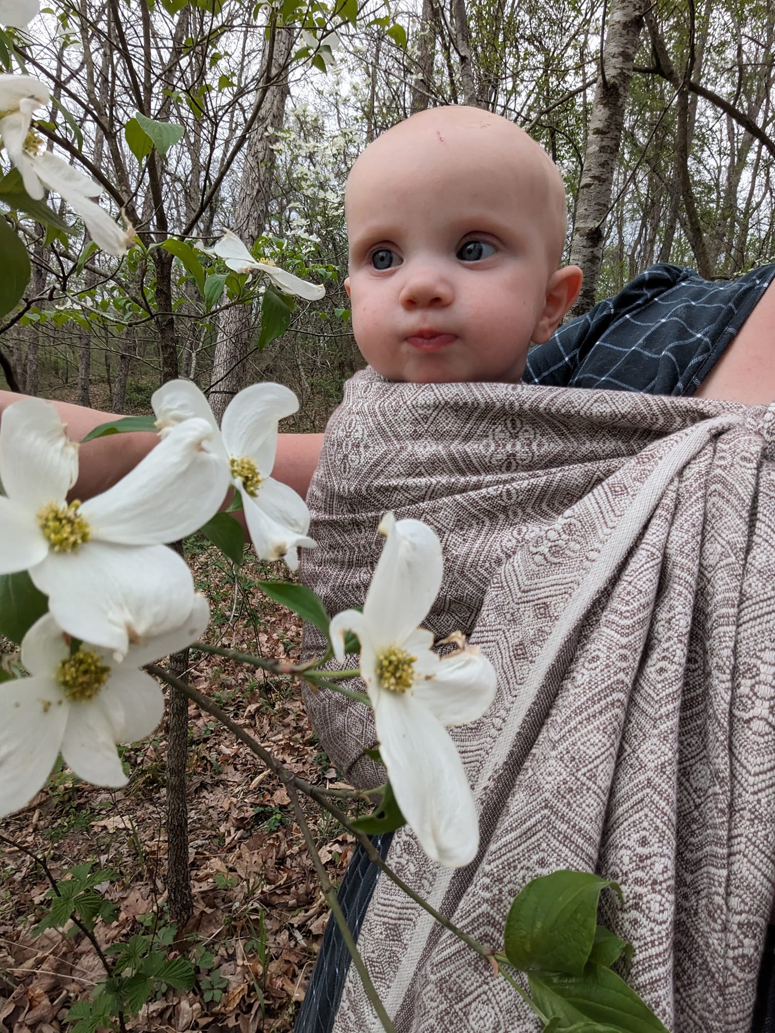 Stracciatella hemp 1975 DidySling Ring Sling by Didymos