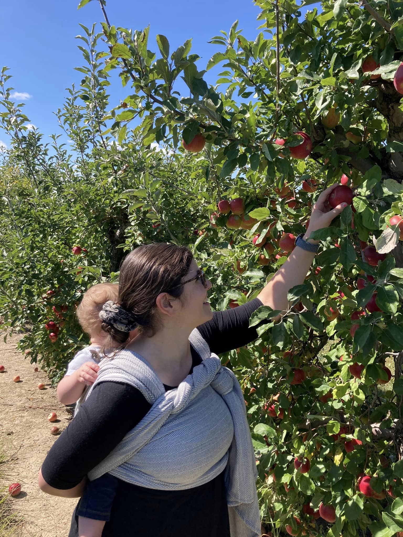 Lisca Grigio Woven Wrap by Didymos Didymos at Little Zen One