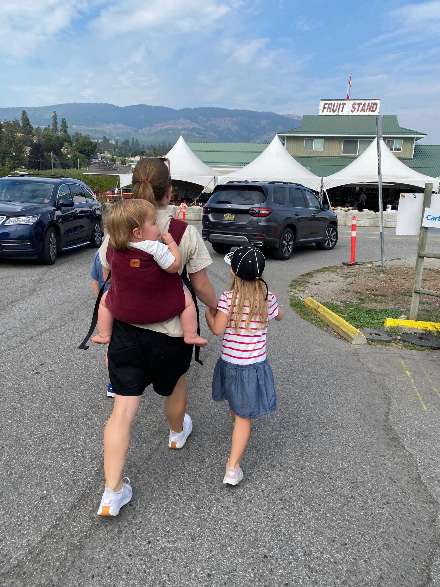 Currant Toddler Carrier by Happy Baby Happy Baby at Little Zen One