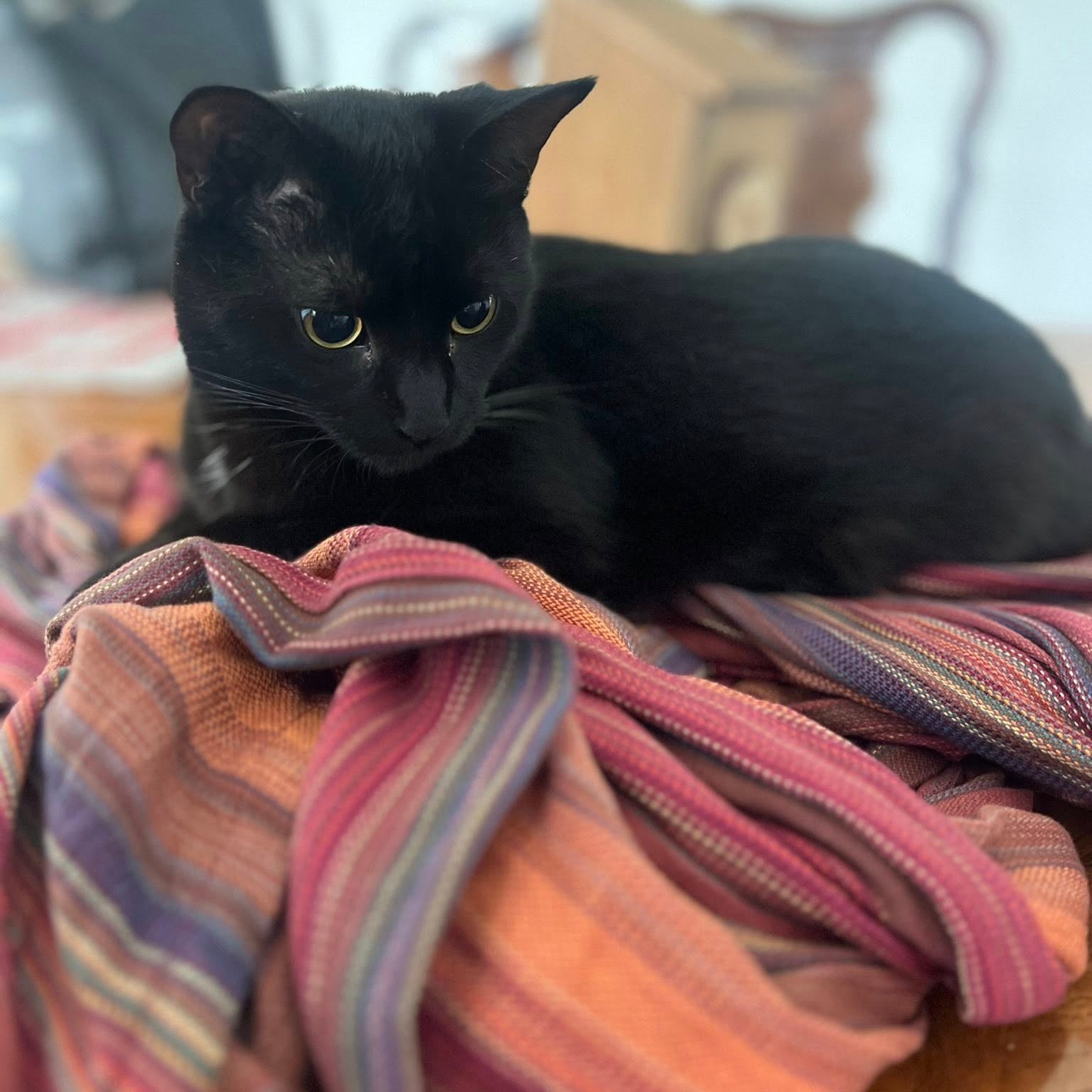 Sierra Woven Wrap by Girasol Girasol at Little Zen One