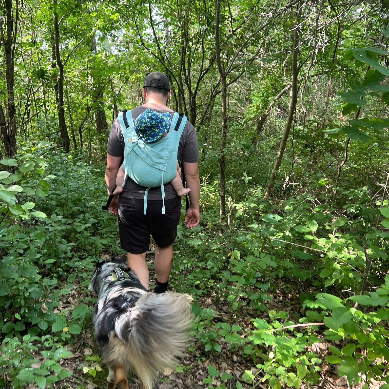 Agave Onbuhimo PRO by LennyLamb LennyLamb at Little Zen One