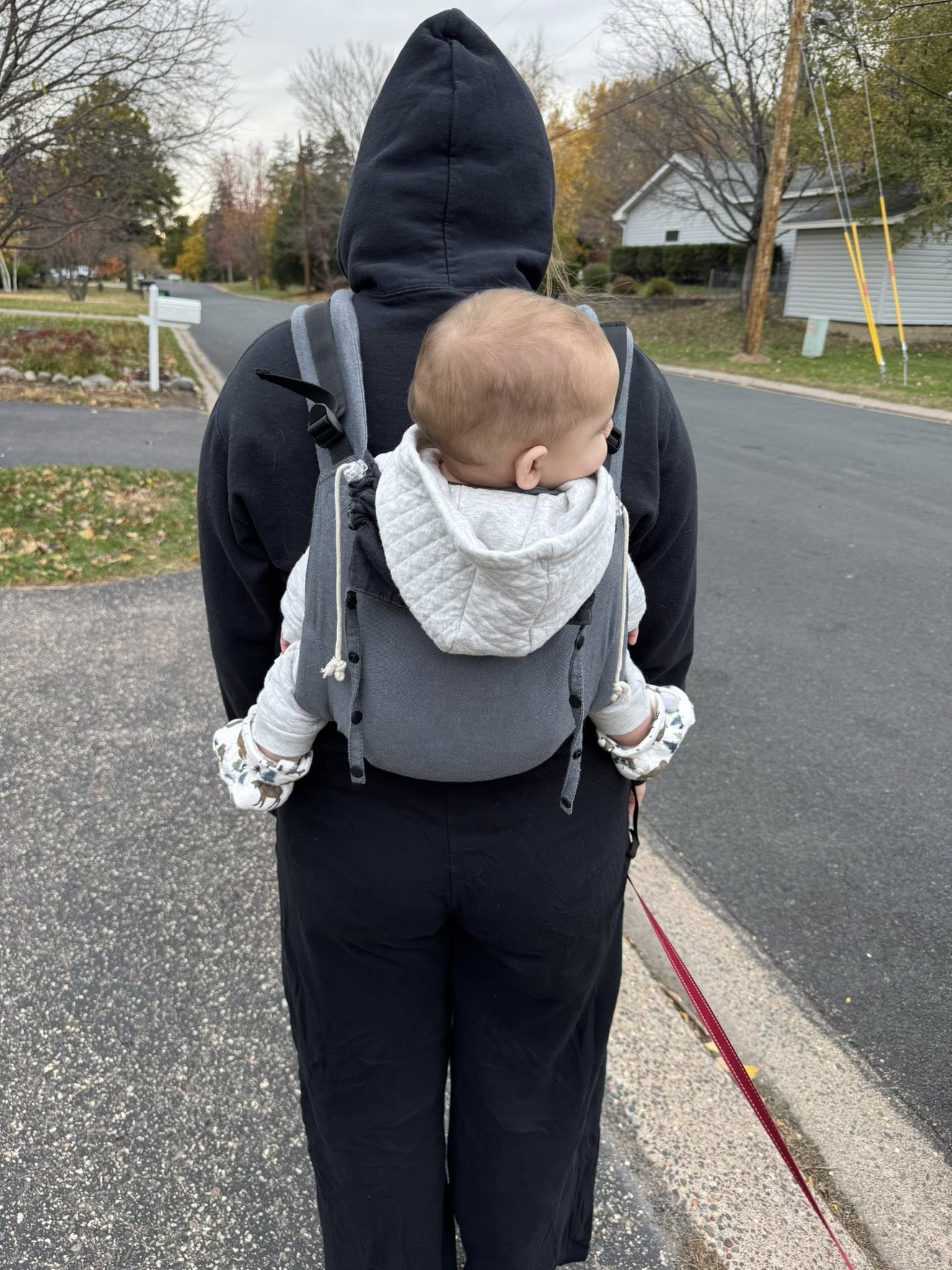 Doubleface Anthracite DidyGo Onbuhimo by Didymos Didymos at Little Zen One