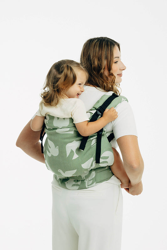 Birdy Fly High LennyPreschool Carrier