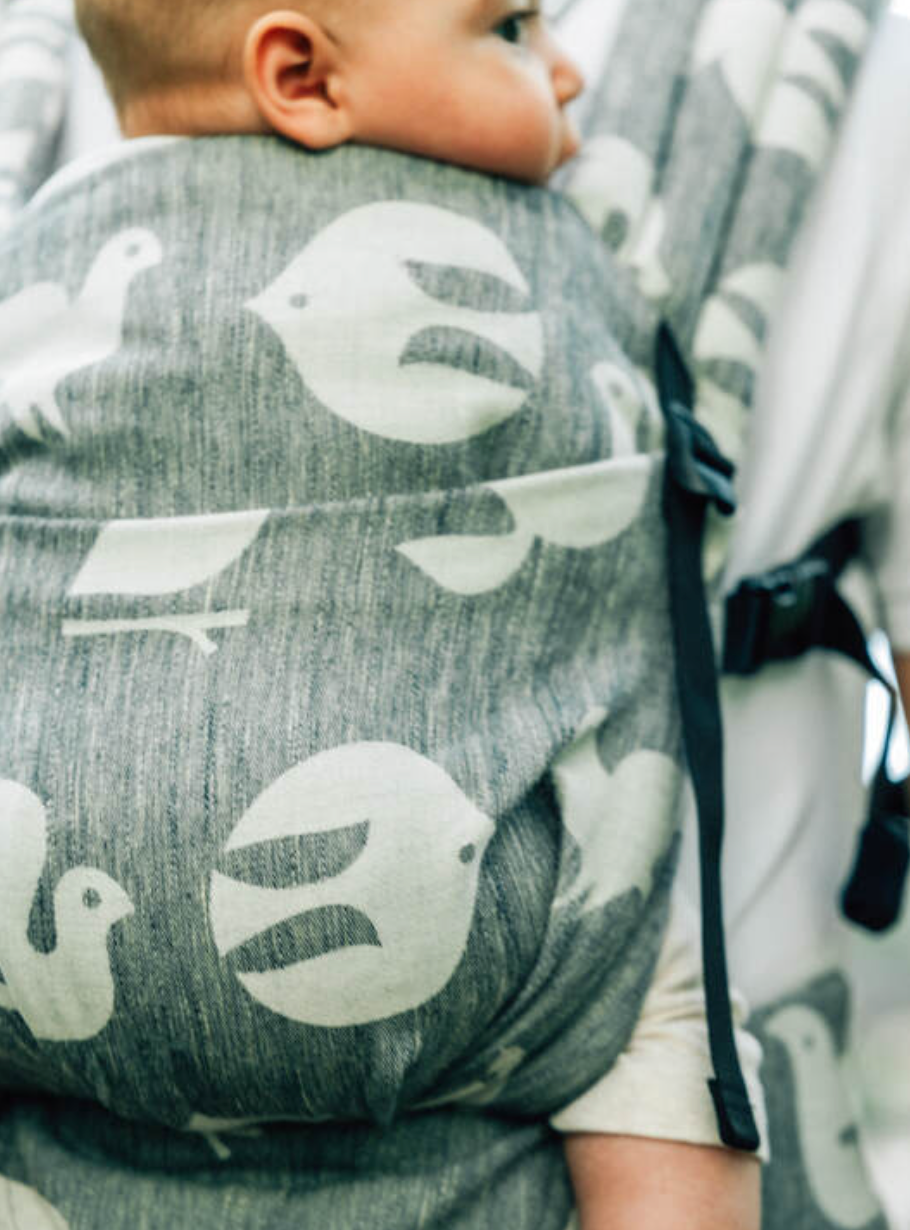 Birdy White Noise LennyLight by LennyLamb LennyLamb at Little Zen One