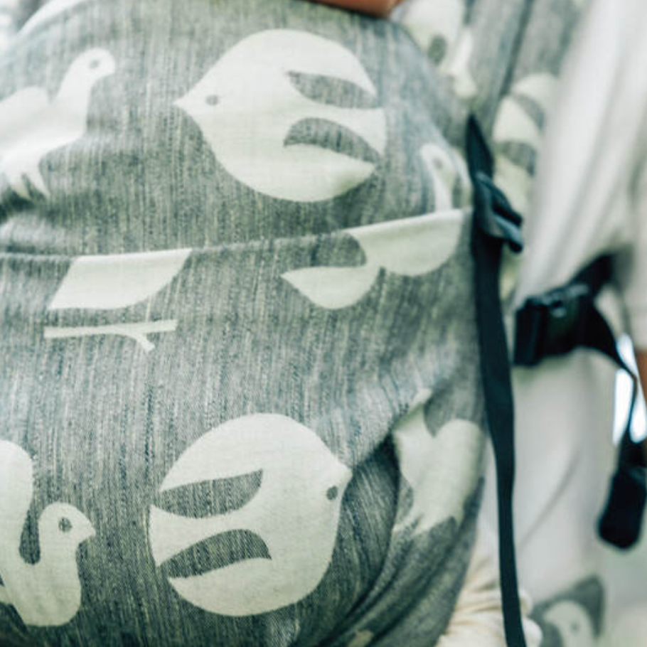 Birdy White Noise LennyLight by LennyLamb LennyLamb at Little Zen One