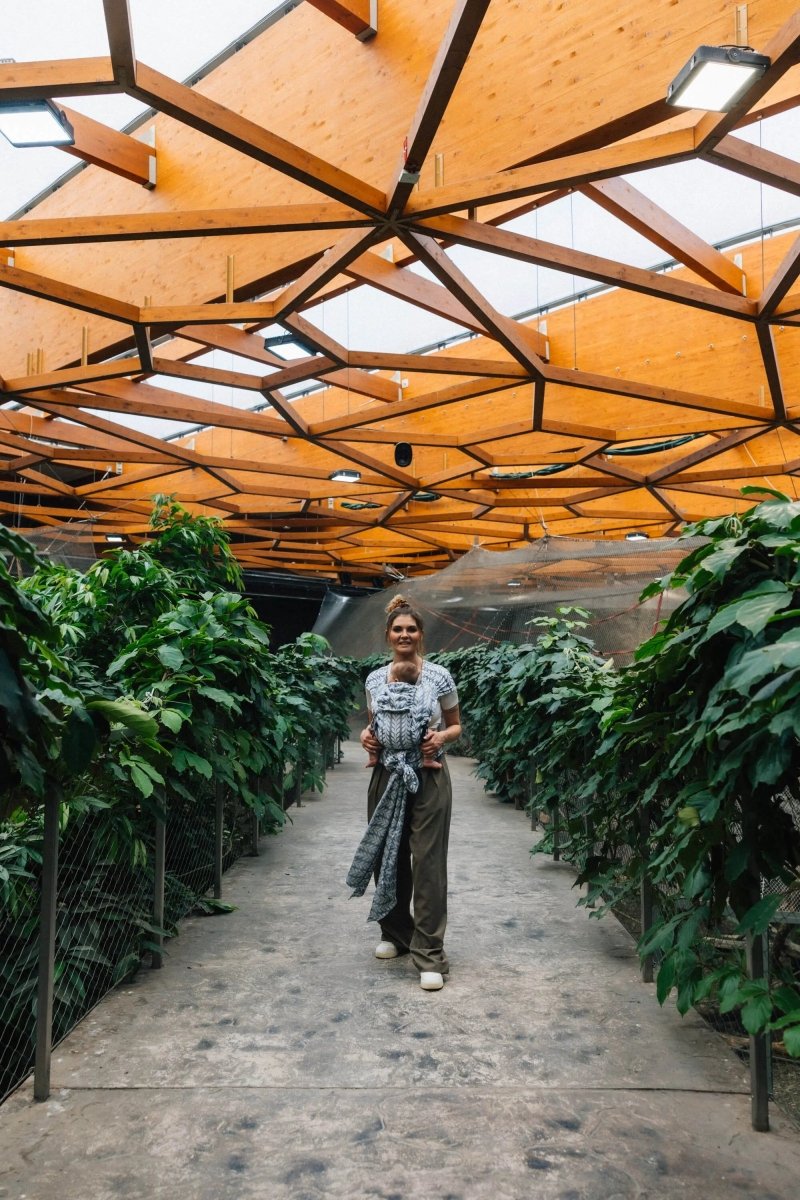 Caktin Willow LennyHybrid Half Buckle by LennyLamb - Half Buckle CarrierLittle Zen One5907557784962