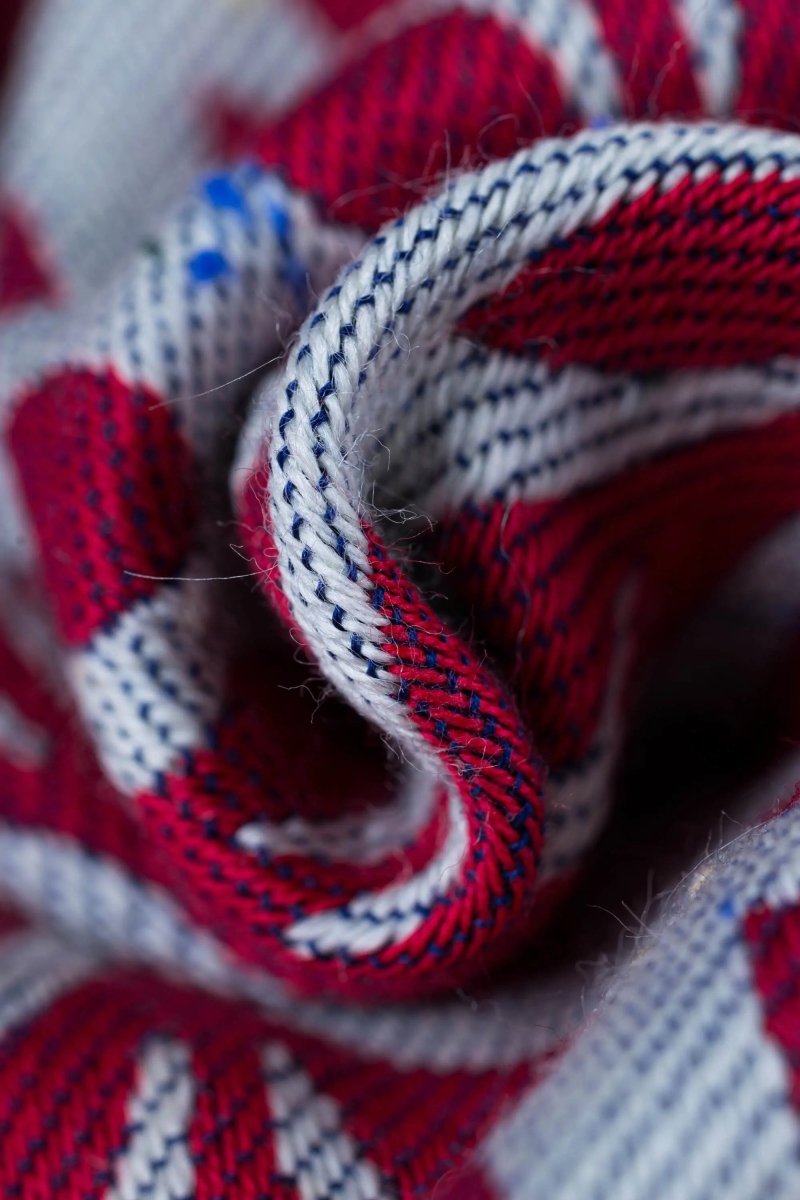 Catkin Pollen LennyPreschool Carrier by LennyLamb - Buckle CarrierLittle Zen One5907557782524