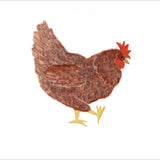 Chickens Exclusive by LennyLamb x Little Zen One Blanket - Home & HobbyLittle Zen One29580368