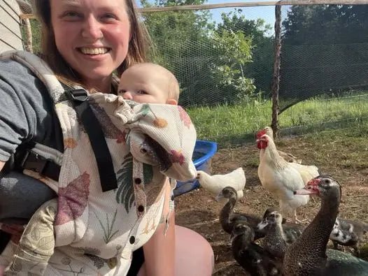 Chickens Exclusive by LennyLamb x Little Zen One LennyGo - Buckle CarrierLittle Zen One84858192