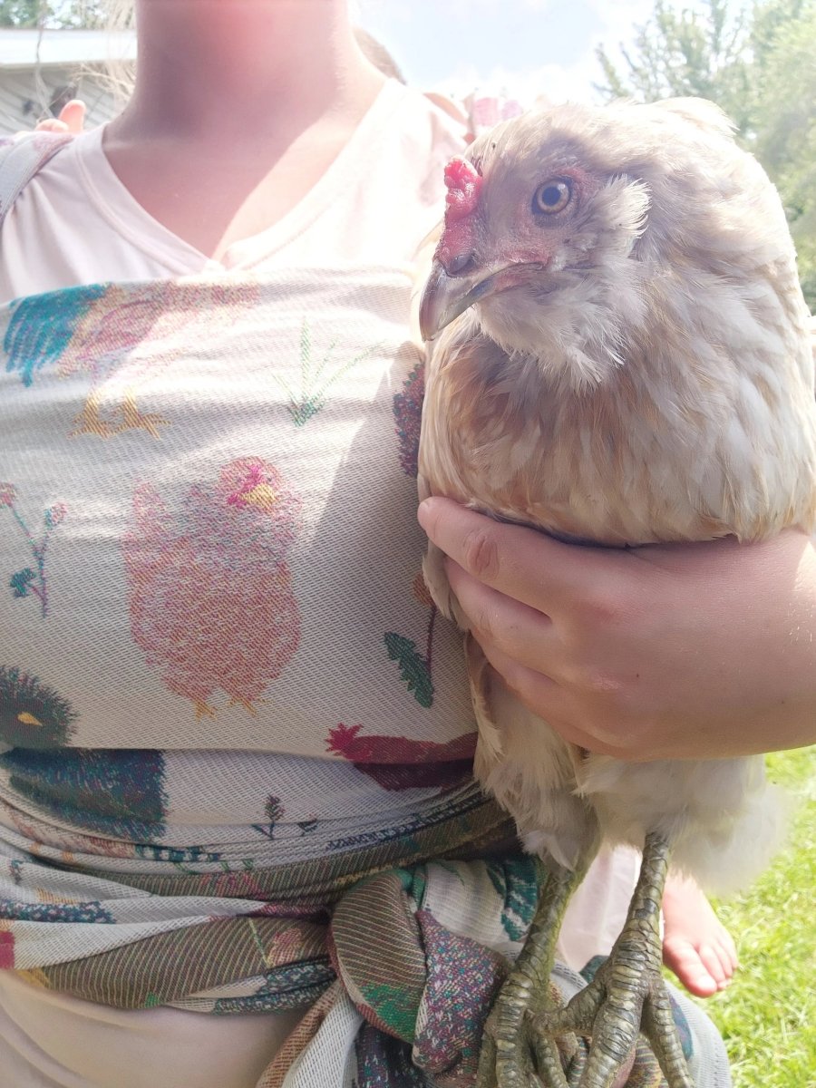 Chickens Exclusive by LennyLamb x Little Zen One Woven Wrap - Woven WrapLittle Zen One18053456