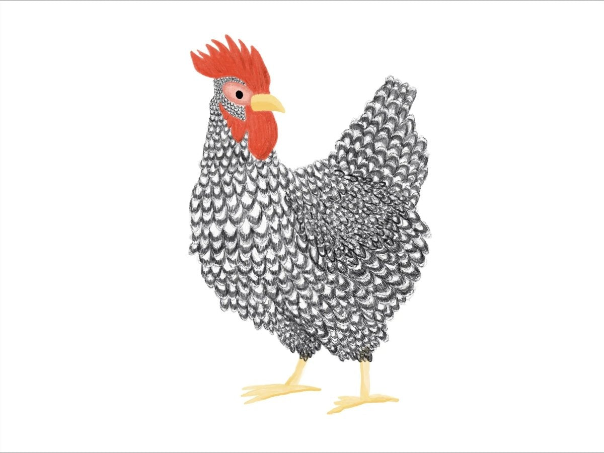 Chickens Exclusive by LennyLamb x Little Zen One Wrap - Tai - Mei TaiLittle Zen One93364816