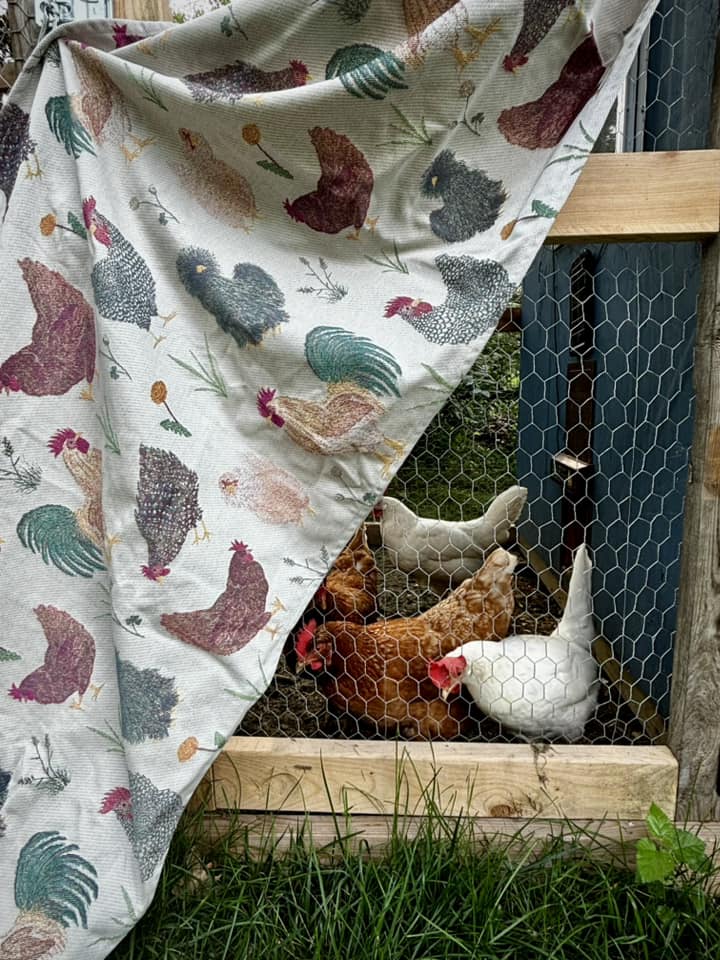 Chickens Exclusive by LennyLamb X Ring Sling Ring Sling