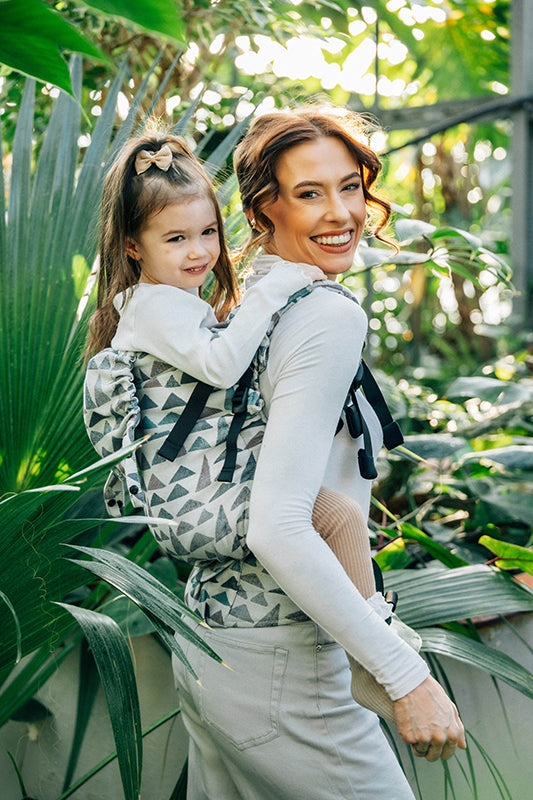 Eagle Rocks Hike LennyPreschool Carrier