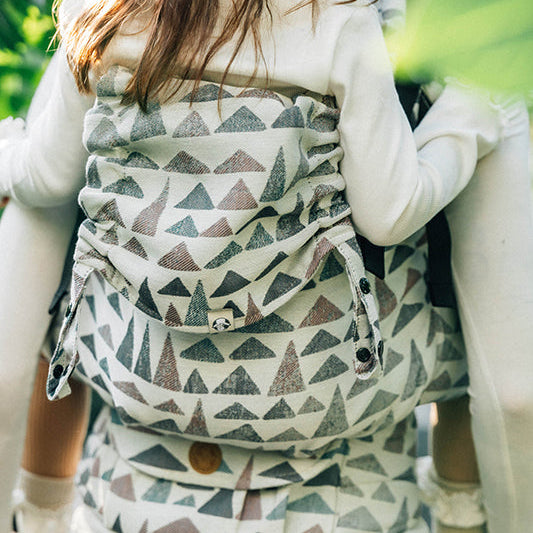 Eagle Rocks Hike LennyPreschool Carrier by LennyLamb LennyLamb at Little Zen One