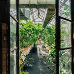 Eagle Rocks Hike Onbuhimo PRO by LennyLamb LennyLamb at Little Zen One