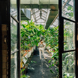 Eagle Rocks Hike Onbuhimo PRO by LennyLamb LennyLamb at Little Zen One