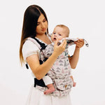 Eagle Rocks Peak LennyUpGrade Carrier