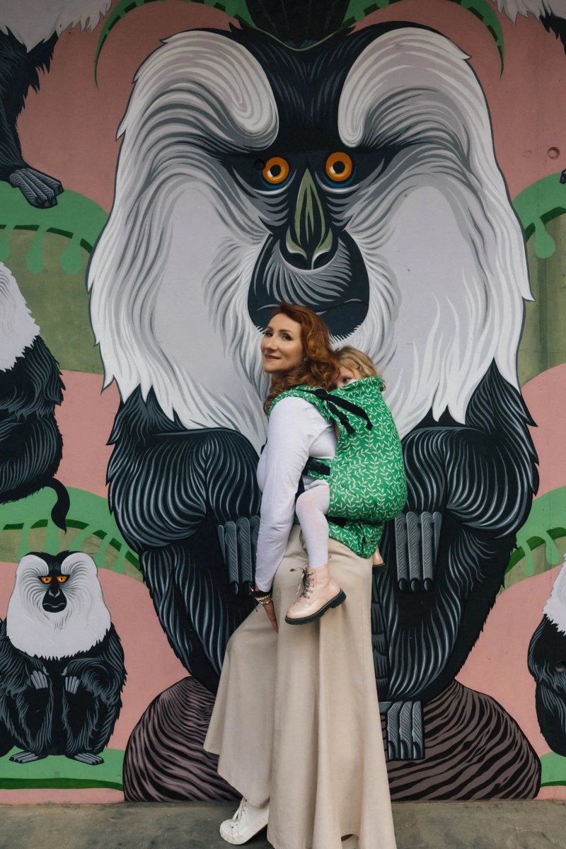 Enchanted Nook Evergreen LennyPreschool Carrier by LennyLamb - Buckle CarrierLittle Zen One5907557784870