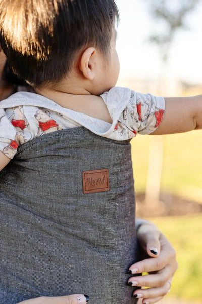 Graphite Original Baby Carrier by Happy Baby – Little Zen One