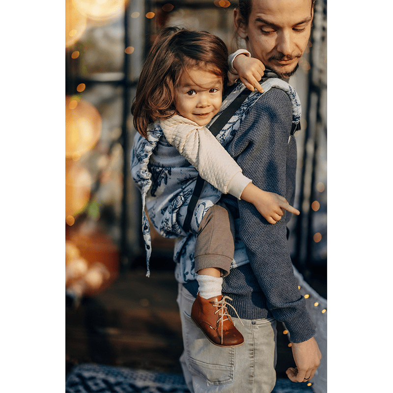 Herbarium Kay LennyPreschool Carrier by LennyLamb - Buckle CarrierLittle Zen One5907557788021