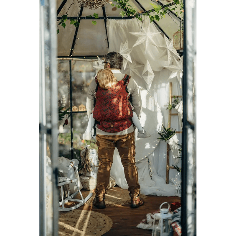 Infinity Gerda LennyPreschool Carrier by LennyLamb - Buckle CarrierLittle Zen One5907557787925