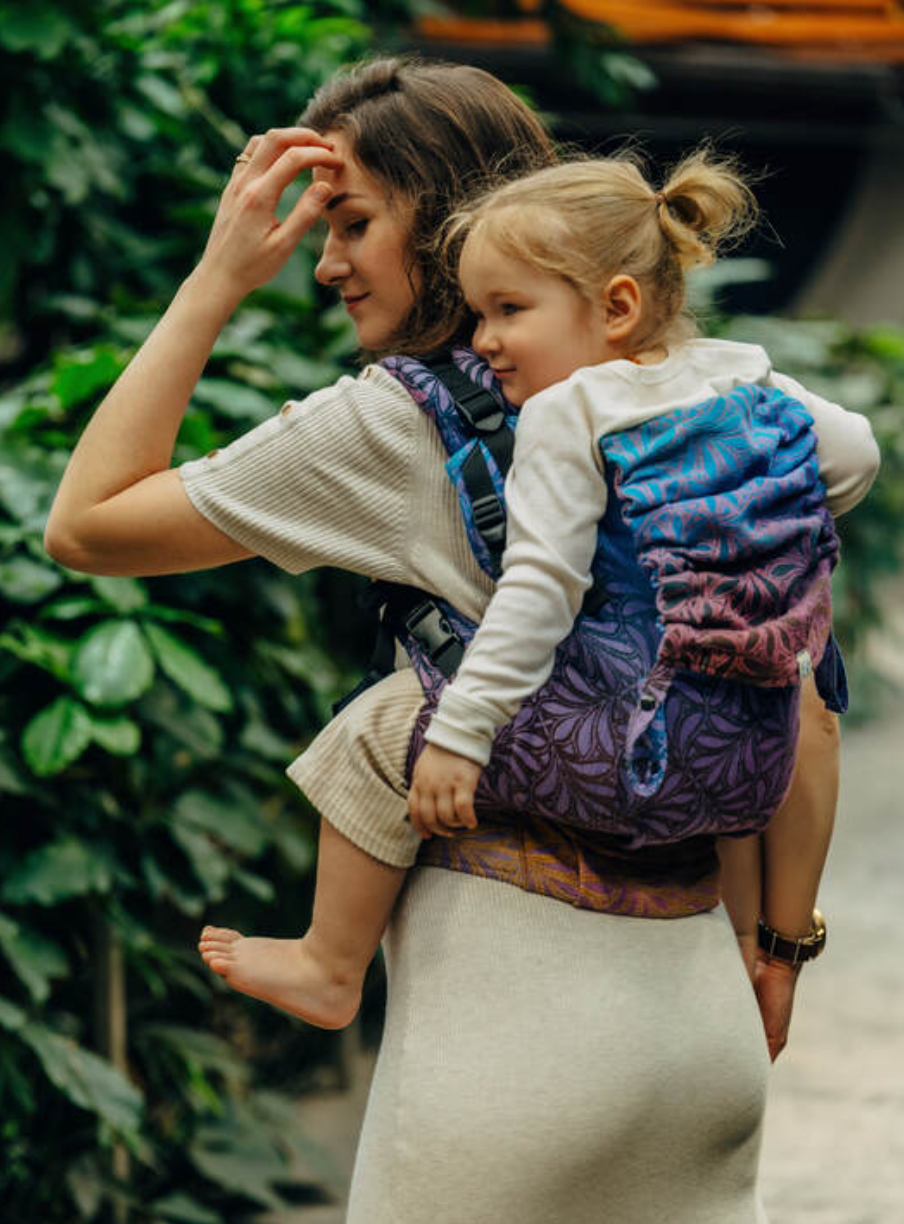 Infinity Roller LennyPreschool Carrier