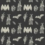 Its Bats Bear Romper by LennyLamb Cream and Black Baby Carrier Accessories