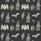 Its Bats Bear Romper by LennyLamb Cream and Black Baby Carrier Accessories