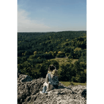 Jurassic Park Fossil Woven Wrap by LennyLamb - Woven WrapLittle Zen One5907557787079