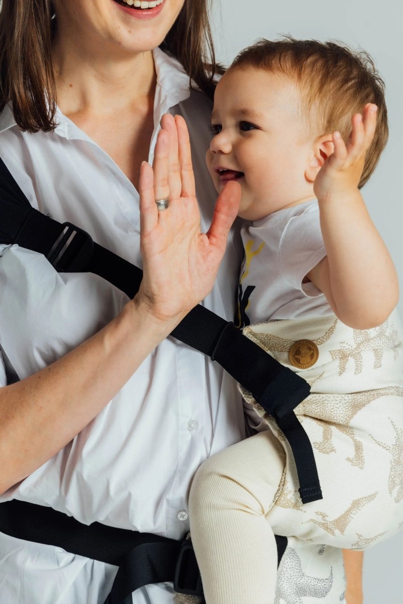 Jurassic Park Ice Desert LennyHip Carrier by LennyLamb - Buckle CarrierLittle Zen One5907557785457