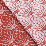 Lotus Foxy LennyPreschool Carrier by LennyLamb - Buckle CarrierLittle Zen One5907557782388