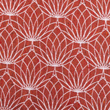 Lotus Foxy LennyPreschool Carrier by LennyLamb - Buckle CarrierLittle Zen One5907557782388