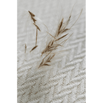 Luce Ring Sling by LennyLamb - Ring SlingLittle Zen One5907557779562