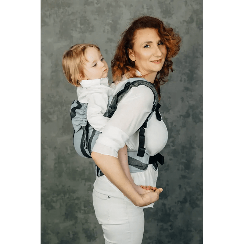 Moon Rock LennyPreschool Carrier by LennyLamb - Buckle CarrierLittle Zen One5907557780070