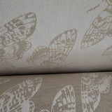 Queen of the Night Lumina Toddler LennyGo by Lennylamb LennyLamb at Little Zen One