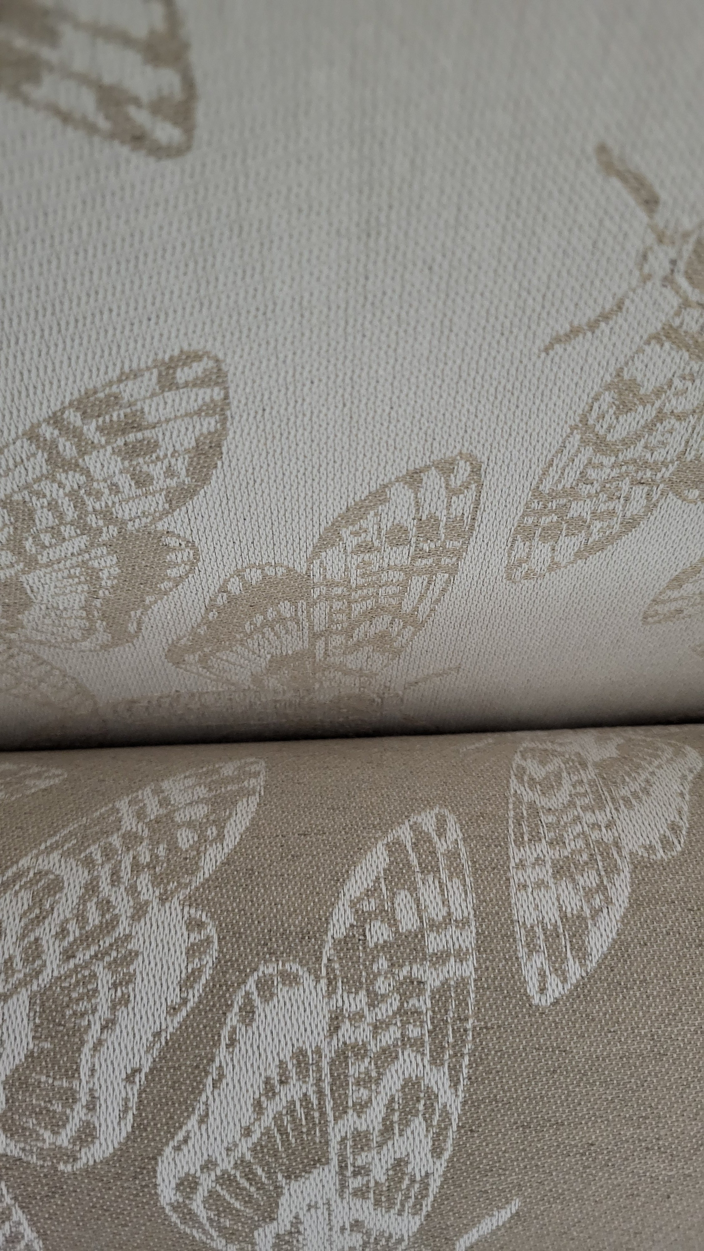 Queen of the Night Lumina Toddler LennyGo by Lennylamb LennyLamb at Little Zen One