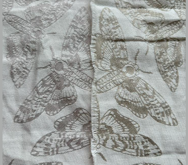 Queen of the Night Lumina Toddler LennyGo