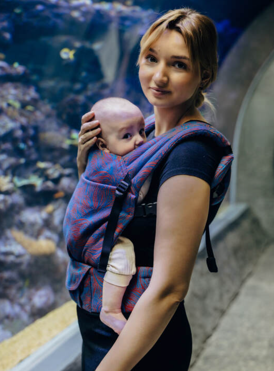 Rapunzel Swirl LennyLight Baby Carrier