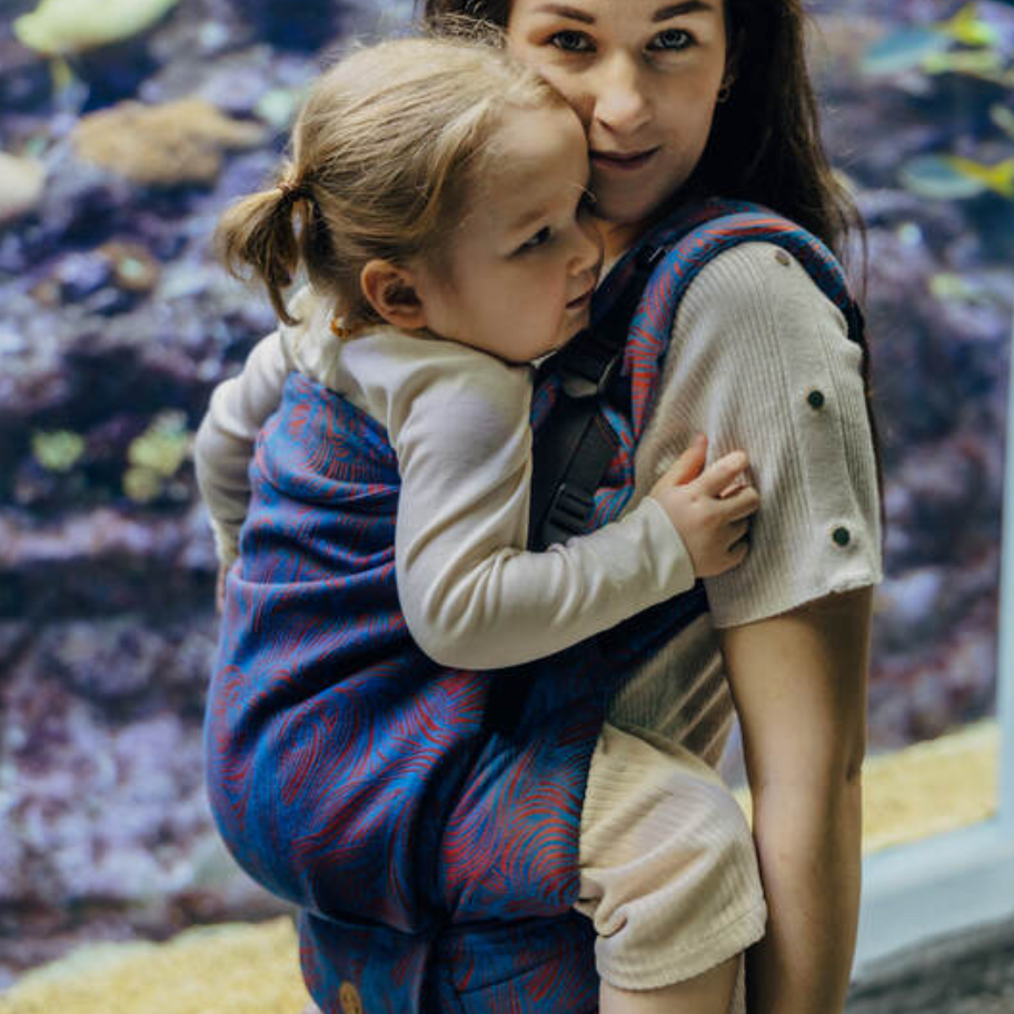 Rapunzel Swirl LennyPreschool Carrier