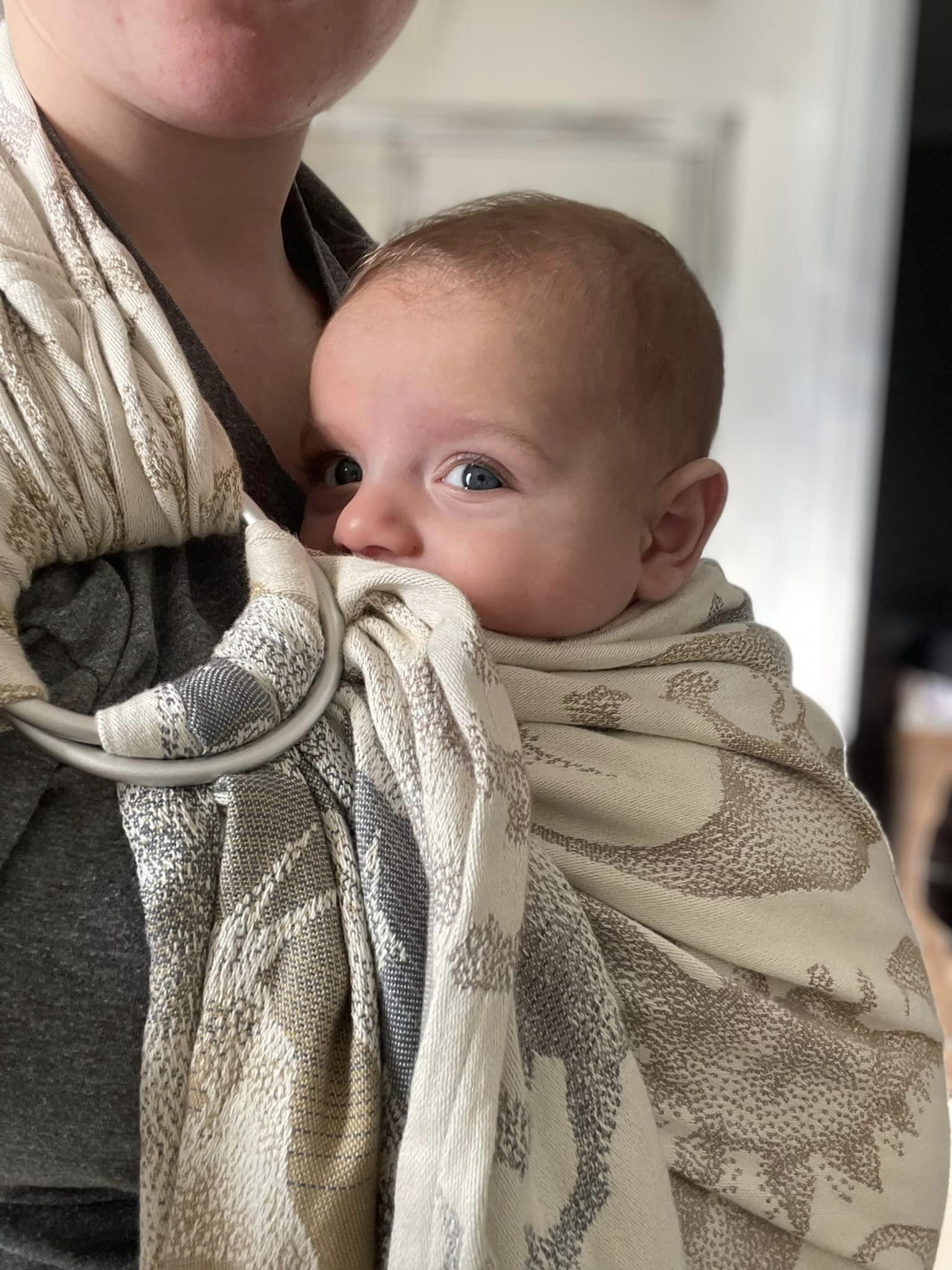 LennyLamb Ring Sling Jurassic Park Ice Desert Rachel Deel